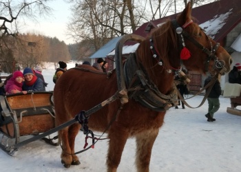 Kulig wychowanków Ośrodka Szkolno-Wychowawczego