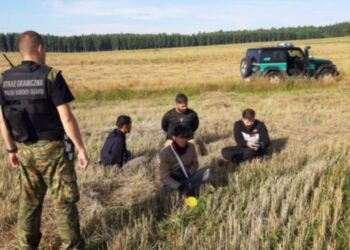 Minionej doby blisko 150 prób nielegalnego przekroczenia granicy z Białorusią.